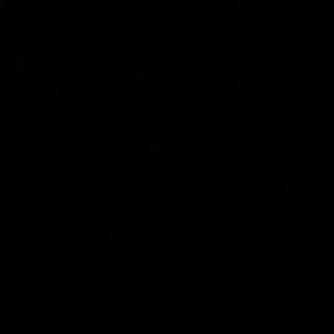 Meet your Posher, Julius